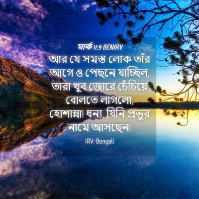 Picture 04 - মার্ক 11:9 BENIRV - আর যে সমস্ত লোক - Bible Verse Picture