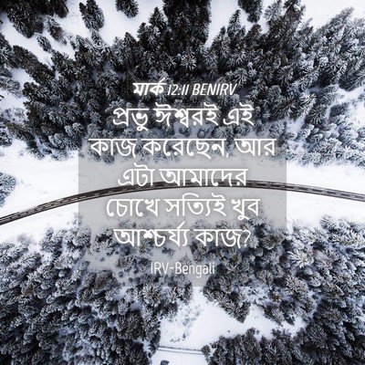 Picture 04 - মার্ক 12:11 BENIRV - প্রভু ঈশ্বরই এই - Bible Verse Picture