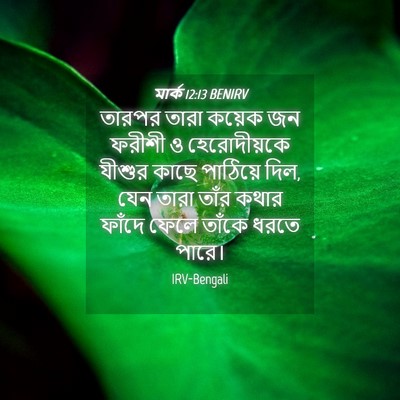 Picture 04 - মার্ক 12:13 BENIRV - তারপর তারা কয়েক - Bible Verse Picture