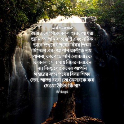 Picture 04 - মার্ক 12:14 BENIRV - তারা এসে তাঁকে বলল, - Bible Verse Picture