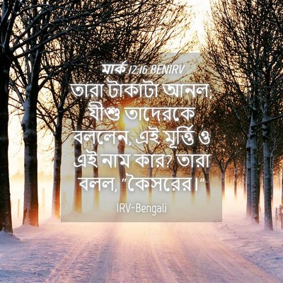Picture 04 - মার্ক 12:16 BENIRV - তারা টাকাটা আনল; - Bible Verse Picture