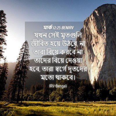 Picture 04 - মার্ক 12:25 BENIRV - যখন সেই মৃতগুলি - Bible Verse Picture