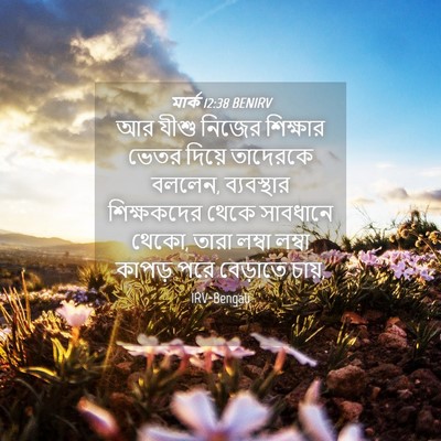 Picture 04 - মার্ক 12:38 BENIRV - আর যীশু নিজের - Bible Verse Picture