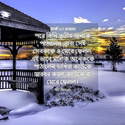 Picture 04 - মার্ক 12:5 BENIRV - পরে তিনি তৃতীয় - Bible Verse Picture
