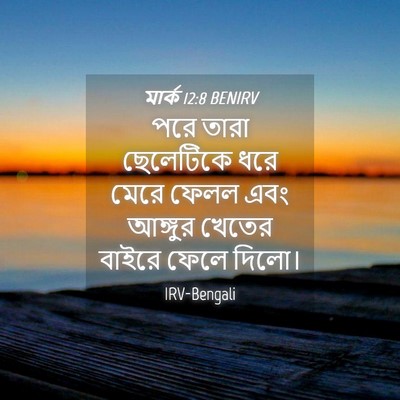Picture 04 - মার্ক 12:8 BENIRV - পরে তারা ছেলেটিকে - Bible Verse Picture