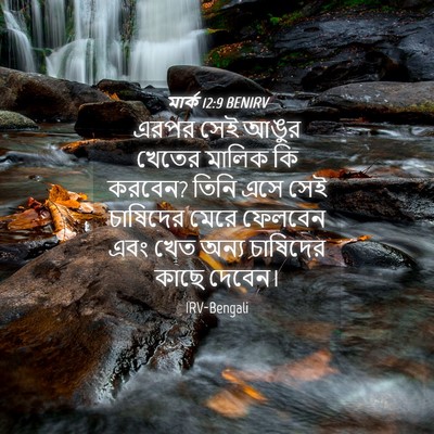 Picture 04 - মার্ক 12:9 BENIRV - এরপর সেই আঙুর - Bible Verse Picture