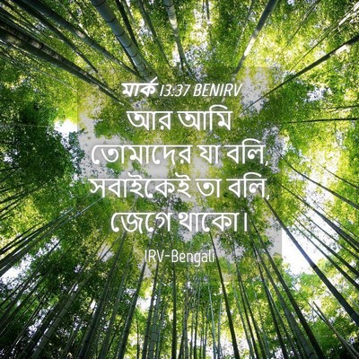 Picture 04 - মার্ক 13:37 BENIRV - আর আমি তোমাদের যা - Bible Verse Picture