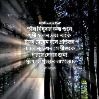 Picture 04 - মার্ক 14:11 BENIRV - তাঁরা যিহূদার কথা - Bible Verse Picture