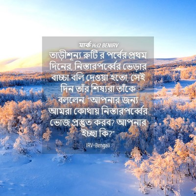 Picture 04 - মার্ক 14:12 BENIRV - তাড়ীশূন্য রুটি র - Bible Verse Picture