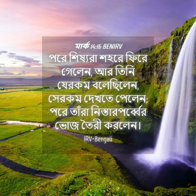 Picture 04 - মার্ক 14:16 BENIRV - পরে শিষ্যরা শহরে - Bible Verse Picture