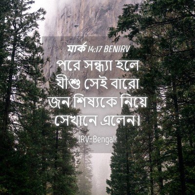 Picture 04 - মার্ক 14:17 BENIRV - পরে সন্ধ্যা হলে - Bible Verse Picture