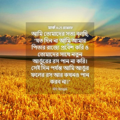 Picture 04 - মার্ক 14:25 BENIRV - আমি তোমাদের সত্য - Bible Verse Picture