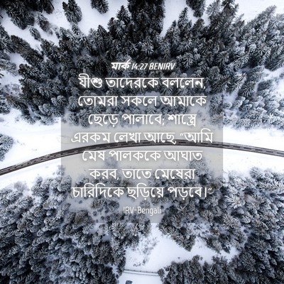 Picture 04 - মার্ক 14:27 BENIRV - যীশু তাদেরকে - Bible Verse Picture