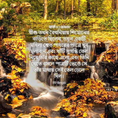 Picture 04 - মার্ক 14:3 BENIRV - যীশু তখন - Bible Verse Picture