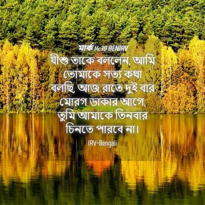 Picture 04 - মার্ক 14:30 BENIRV - যীশু তাকে বললেন, - Bible Verse Picture