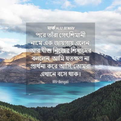 Picture 04 - মার্ক 14:32 BENIRV - পরে তাঁরা - Bible Verse Picture