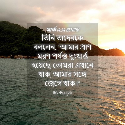 Picture 04 - মার্ক 14:34 BENIRV - তিনি তাদেরকে - Bible Verse Picture