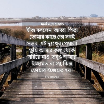 Picture 04 - মার্ক 14:36 BENIRV - যীশু বললেন, আব্বা, - Bible Verse Picture
