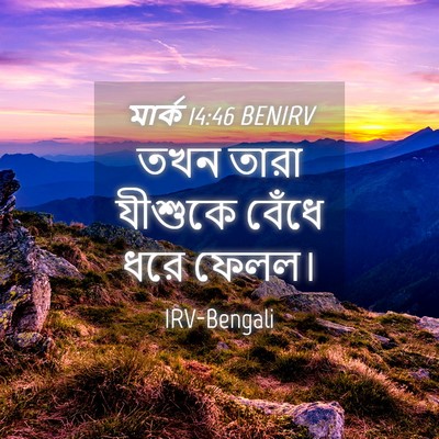Picture 04 - মার্ক 14:46 BENIRV - তখন তারা যীশুকে - Bible Verse Picture