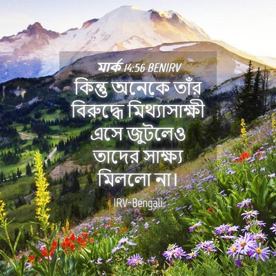 Picture 04 - মার্ক 14:56 BENIRV - কিন্তু অনেকে তাঁর - Bible Verse Picture
