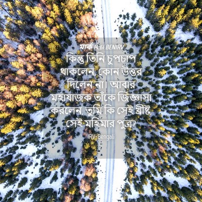 Picture 04 - মার্ক 14:61 BENIRV - কিন্তু তিনি - Bible Verse Picture