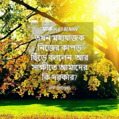 Picture 04 - মার্ক 14:63 BENIRV - তখন মহাযাজক নিজের - Bible Verse Picture
