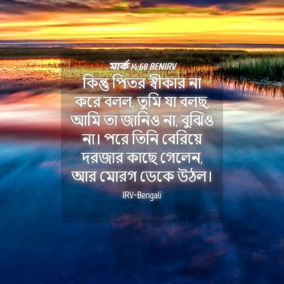 Picture 04 - মার্ক 14:68 BENIRV - কিন্তু পিতর - Bible Verse Picture