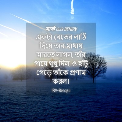 Picture 04 - মার্ক 15:19 BENIRV - একটা বেতের লাঠি - Bible Verse Picture
