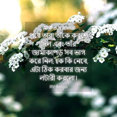 Picture 04 - মার্ক 15:24 BENIRV - পরে তারা তাঁকে - Bible Verse Picture