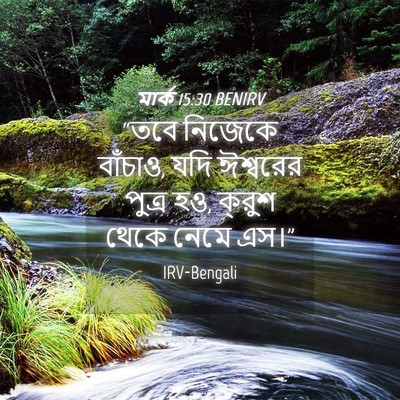 Picture 04 - মার্ক 15:30 BENIRV - “তবে নিজেকে - Bible Verse Picture