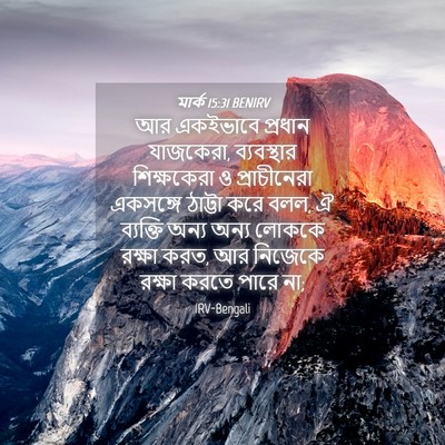 Picture 04 - মার্ক 15:31 BENIRV - আর একইভাবে প্রধান - Bible Verse Picture