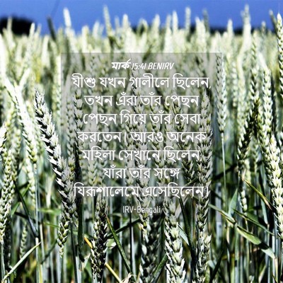Picture 04 - মার্ক 15:41 BENIRV - যীশু যখন গালীলে - Bible Verse Picture