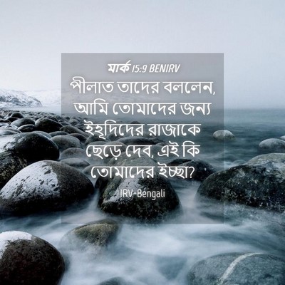 Picture 04 - মার্ক 15:9 BENIRV - পীলাত তাদের বললেন, - Bible Verse Picture