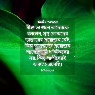 Picture 04 - মার্ক 2:17 BENIRV - যীশু তা শুনে - Bible Verse Picture