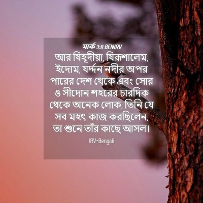 Picture 04 - মার্ক 3:8 BENIRV - আর যিহূদীয়া, - Bible Verse Picture