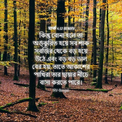 Picture 04 - মার্ক 4:32 BENIRV - কিন্তু বোনা হলে তা - Bible Verse Picture