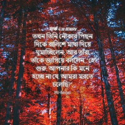 Picture 04 - মার্ক 4:38 BENIRV - তখন তিনি নৌকার - Bible Verse Picture