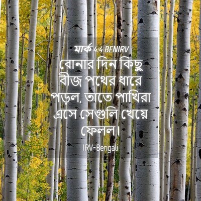 Picture 04 - মার্ক 4:4 BENIRV - বোনার দিন কিছু বীজ - Bible Verse Picture