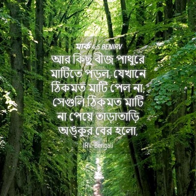 Picture 04 - মার্ক 4:5 BENIRV - আর কিছু বীজ পাথুরে - Bible Verse Picture