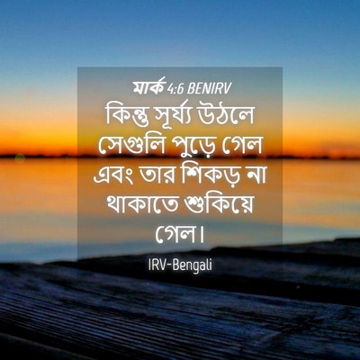 Picture 04 - মার্ক 4:6 BENIRV - কিন্তু সূর্য্য - Bible Verse Picture
