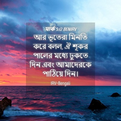 Picture 04 - মার্ক 5:12 BENIRV - আর ভূতেরা মিনতি - Bible Verse Picture