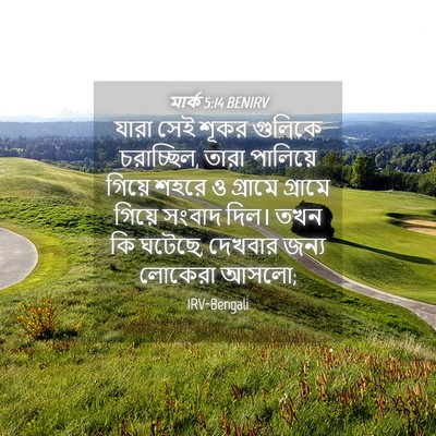Picture 04 - মার্ক 5:14 BENIRV - যারা সেই শূকর - Bible Verse Picture