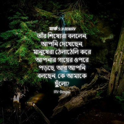Picture 04 - মার্ক 5:31 BENIRV - তাঁর শিষ্যেরা - Bible Verse Picture