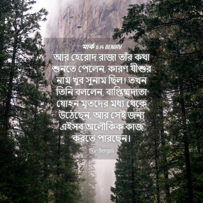 Picture 04 - মার্ক 6:14 BENIRV - আর হেরোদ রাজা তাঁর - Bible Verse Picture