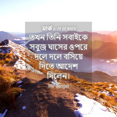 Picture 04 - মার্ক 6:39 BENIRV - তখন তিনি সবাইকে - Bible Verse Picture