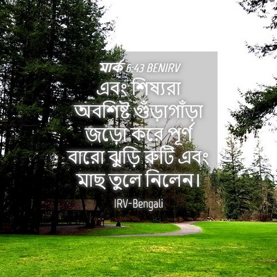 Picture 04 - মার্ক 6:43 BENIRV - এবং শিষ্যরা - Bible Verse Picture