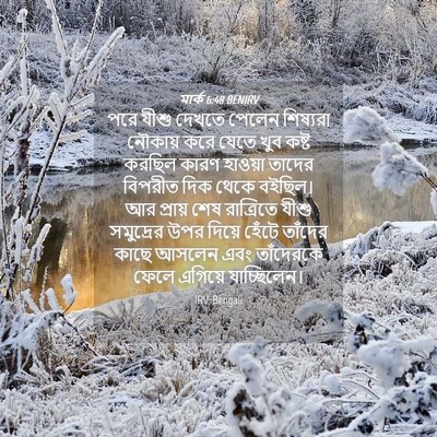 Picture 04 - মার্ক 6:48 BENIRV - পরে যীশু দেখতে - Bible Verse Picture