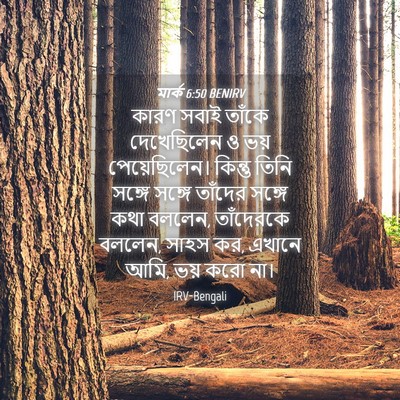 Picture 04 - মার্ক 6:50 BENIRV - কারণ সবাই তাঁকে - Bible Verse Picture