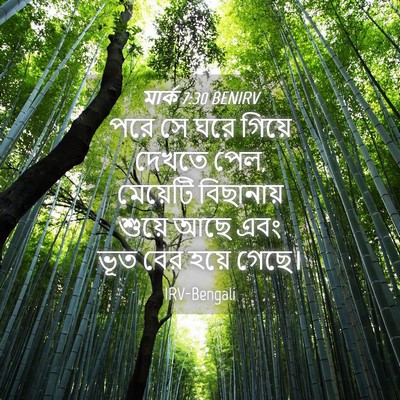 Picture 04 - মার্ক 7:30 BENIRV - পরে সে ঘরে গিয়ে - Bible Verse Picture