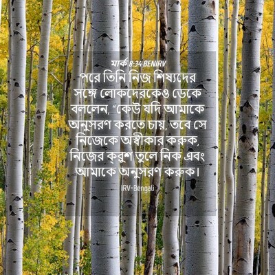 Picture 04 - মার্ক 8:34 BENIRV - পরে তিনি নিজ - Bible Verse Picture